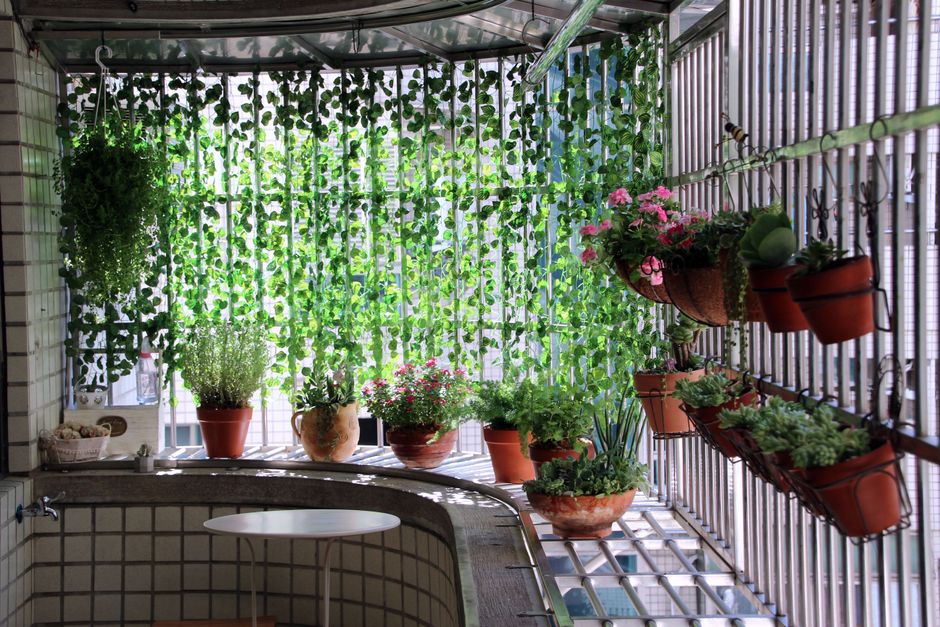 Kleine stadstuin met compacte moestuinbakken. Kleine stadstuin met compacte moestuinbakken.